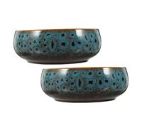 JOINPAYA 2pcs Ceramic Lotus Bowl Planters with Soilfree Design for Hydroponic Convenience, round Water Lily Planter Bowls for Home Décor and Outdoor Use