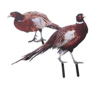 JOINPAYA 2pcs Double-sided Acrylic Pheasant Yard Stakes with Realistic Appearance and Weather Resistant Features, Metal Garden Ornaments for Decorating the Lawn or Garden Outdoor Spaces