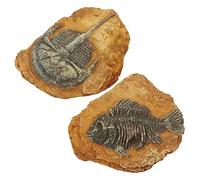 JOINPAYA 2Pcs Simulation Fossil Ornament Creative Reptile Box Decor for Lizard Terrarium Landscape Durable Crawling Landscape Accessories