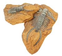 JOINPAYA 2Pcs Simulation Fossil Terrarium Decor Creative Resin Reptile Box Ornaments for Gecko Lizard Snake Habitat Safe for Turtles Frogs and Pets