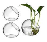 JOINPAYA 3 Pcs Glass Terrarium Vases with Beveled Opening, round Air Plant Containers for DIY Projects and Home Decoration, Chic Decorative Glass Plant Holders