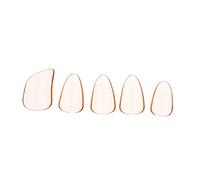 JOINPAYA 5pcs Orange Pipa Finger Picks for Musical Instruments, PC Material round Edge, Easy to Clean and Portable, for Playing Lute and Guzheng
