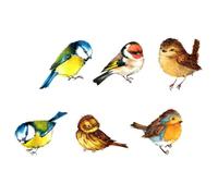 JOINPAYA Anti-Collision Window Sticker for Bird Strike Prevention, PVC Static Cling Window Decal No Residue and Easy to Peel, Creative Design for Decorating a Room
