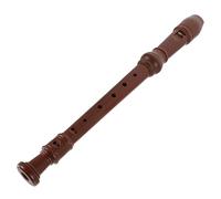 JOINPAYA Eight Recorder Soprano Music Instrument for Practice Beginner Soprano Recorder Boys and Girls Musical Instrument for School Flute Lessons