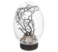 JOINPAYA Small Desktop Fish Tank Mini Aquarium for Goldfish Compact Suitable for Office Desk Easy to Maintain for Small Fish Keeping