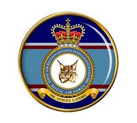 Joint Air Reconnaissance Intelligence Centre, RAF Pin Badge