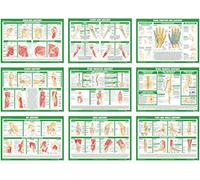 Joint Anatomy Chart Series (A2 Paper Format, Set of 9)