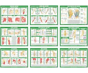 Joint Anatomy Chart Series (A2 Paper Format, Set of 9)