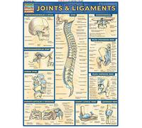 Joints & Ligaments (Quick Study Academic)