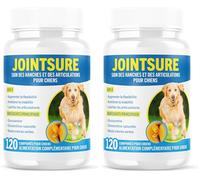 JOINTSURE Joint Supplements for Dogs - 120 Tabs, Joint Structure & Mobility for Dogs| Advanced Formula (Pack of 2)