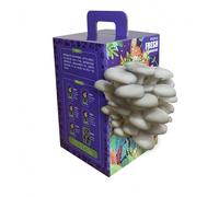 JOIYSVEN Fresh Chestnut Mushrooms.Growing Kit.Bring A Miniature Forest to Your Dining Table.Grow Your Own. A Parent-Child Nature-Nurturing Box-a Mushroom-Shaped Box That Pops Out! (White)