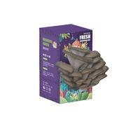 JOIYSVEN Fresh Chestnut Mushrooms.Growing Kit.Bring A Miniature Forest to Your Dining Table.Grow Your Own. A Parent-Child Nature-Nurturing Box-a Mushroom-Shaped Box That Pops Out! (Black)