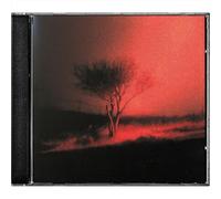 JOJI HIROTA - PISS IN THE WIND - CD ALBUM - 26 - E123z