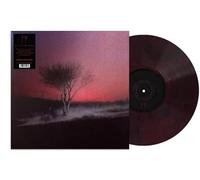 Joji - In The Wind - Fruit Punch Vinyl, LP
