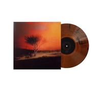 Joji - In The Wind Orange Crush Black Wave Vinyl LP, Joji