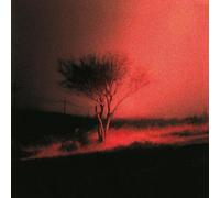 Joji - J0Jl, Neues AIbum 2O26, PlSS lN THE WlND (PixeIreIated Kisses)