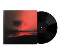 Joji – Piss in the Wind (Palace Creek) – 12" Vinyl Album – Pre-sale