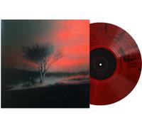 Joji Piss in the Wind (Vinyl)