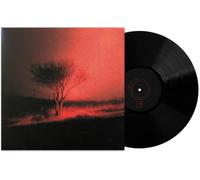 Joji - Piss In The Wind [VINYL]