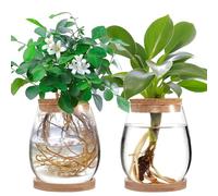 JOJOCY 2Pcs Large Plant Terrarium, Plant Propagation Station Clear Glass Plant Pot with Lid & Stand for Growing Hydroponic Home Office Table Decoration