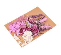 jojofuny 1 Bag of Dried Flowers Material for Candle DIY, Handicrafts and Note Card Decoration, Pressed Flowers for Resin Molds, and Handbooks