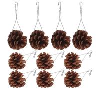 jojofuny 10pcs Natural Pine Cone Chewing with Built-in Hook for Pet Birds and Small Animals, Hanging Parrot Foraging for Birdcage Enrichment and Exercise