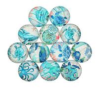 jojofuny 20pcs Ocean Fish Patch Glass Sticker Imitated Gemstone Paste for DIY Jewelry Making Accessories Coastal Decor Craft Kit Random Color