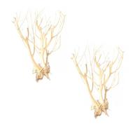 jojofuny 2pcs Decorative Twig Random Shape Fish Tank Adornment Beige Dead Wood Fine Craftsmanship for Aquarium Decorating Use