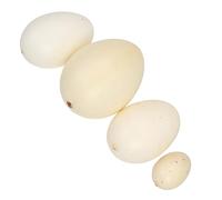 jojofuny 4pcs Lifelike Simulation Bird Egg Model Easter Hunt Boy Girl and Craft Decoration Boy Girl and Painting Practice