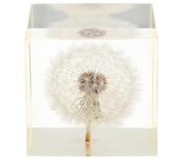 jojofuny Creative Delicate Resin Dandelion Cube Ornament Luxury Home Decoration Gift for Easter Birthday Christmas Office Tabletop Decoration