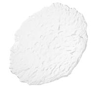 jojofuny Glass Pasta Plate for Western Food Serving, Large Glass Steak Tray, Creative Household Food Storage Platter for Dinner and Party Use