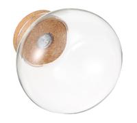 jojofuny Hydroponic Plant Container Glass Vase with Cork Lid Desktop Glass Planter for Indoor Outdoor Terrarium with Light for Tabletop Propagation