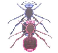 jojofuny Iron Wall Hanging Craft Ornaments Featuring Metal Ant Decorations as Decorative Ant Wall Ornaments Made with Sturdy Iron Material that Is Not Easy to Fade