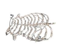jojofuny Lightweight Plastic Punk Skeleton Rib Cage Harness with Hollow Realistic Bones for Day the Dead Festival and Halloween Costume, Reducing Wearer Fatigue and Won't Snag Clothing