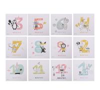 jojofuny Month Decal 12pcs Paper Memorial Stickers for Tracking Growth, Lovely Unique Design Photo Props to Share Growth on Social Media