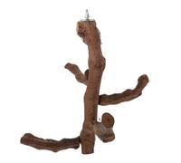 jojofuny Natural Wooden Parrot Play Stand with Multi-branch Perches Bird Standing Rod for Pet Bird Exercise and Balance Training for Parakeets Cockatiels Budgies