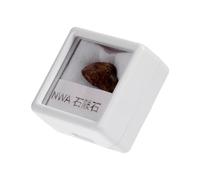 jojofuny Olive Meteorite Stone Specimen Irregular Teaching Stone Specimen Box Packaging Unique Precious Style for Teaching Materials and Astronomy Enthusiasts Random Color