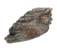 jojofuny Resin Trilobite Insect for Science Teaching Realistic Paleontological Bug Ornament for Reptile Enclosure Decor Artificial Specimen for Vivarium and Terrarium Display