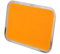 jojofuny Stainless Steel Laboratory Metal Tray with Wax Lining, Portable Multi-functional Dissection Tray for Anatomical Dissection and Teaching Purposes, Size 21cm X 31cm