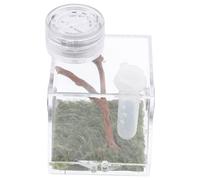 jojofuny Transparent Medium Spider Habitat Box with Mini Lamp for Jumping Spiders and Small Insects Portable Clear Pet House Suitable for Beetles and Outdoor Use