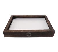 jojofuny Wooden Specimen Display Box with Lid Butterfly and Plant Collection Case with Lock for Educational and DIY Use 12.2 X 8.7 X 1.6 Inches