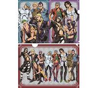 JoJo's Bizarre Adventure Golden Wind AGF 2019 Clear File Set (Assassins Team Ver.)