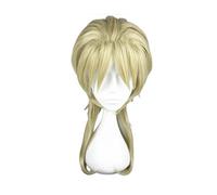 Jojos Bizarres Adventures Diego Brando Anime Cosplay Wig Synthetic Wigs for Halloween Cosplay Party