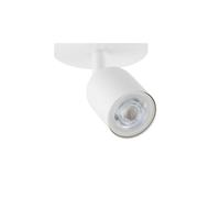 JOKER GREEN/GOLD Ceiling Light 2xGU10 MLP7718