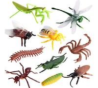 JOKFEICE Animal Figures 10 pcs Realistic Plastic Insect Toys Set Includes Zen, Wasp, Centipede etc. Science Project, Learning Educational Toys, Birthday Gift, Cake Topper For Kids Toddlers