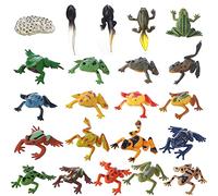 JOKFEICE Animal Figures 22pcs Realistic Frog Figures Action Model for Science Project, Learning Educational Toys, Birthday Gift, Cake Topper for Kids