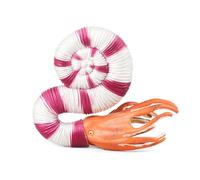 JOKFEICE Ocean Sea Animal Toys, Realistic Sigmoid Ammonite Fairy Garden Accessories, Learning Educational Toys for Christmas Birthday Cake Topper Gift for Kids