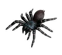 JOKFEICE Realistic Animal Figures Spider Figurines Large Insect Toy, Science Project, Cake Topper, Early Educational Toys Birthday for Toddlers Kids Age 3 4 5(Black)