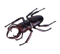 JOKFEICE Realistic Animal Figures Stag Beetles Figurines, Science Project, Cake Topper, Early Educational Toys Birthday for Toddlers Kids Age 3 4 5