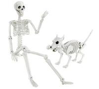 JOLCEEY 1pcs Halloween Posable Skeleton, 90cm/3ft Realistic Human Skeleton Bones Full Body Movable Joints with 1-headed Dog Skeleton for Halloween Props Spooky Party Decoration